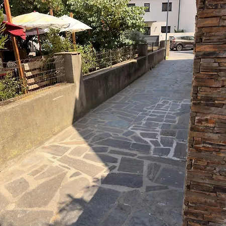 Le Patio De La Rectorie Daire Banyuls-sur-Mer